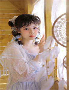 擅离职守的猫咪